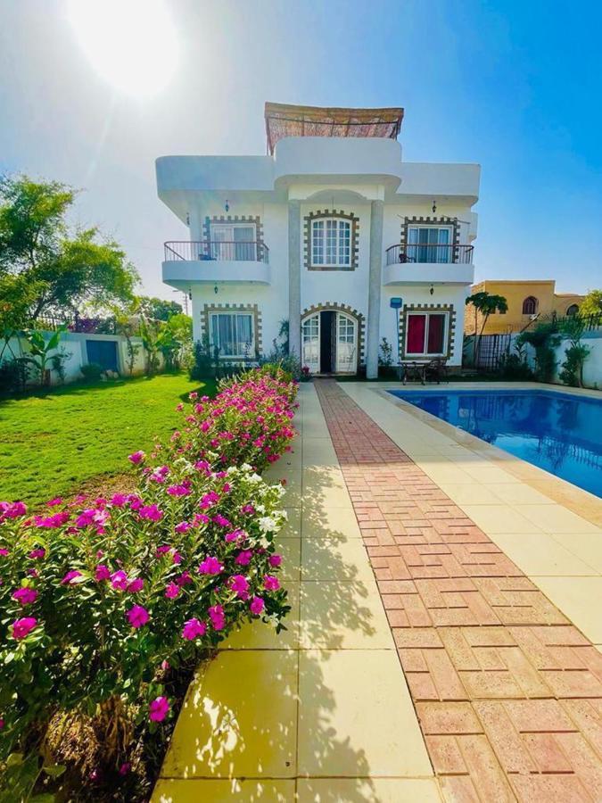 Ali Luxury Villa Luxor Ngoại thất bức ảnh