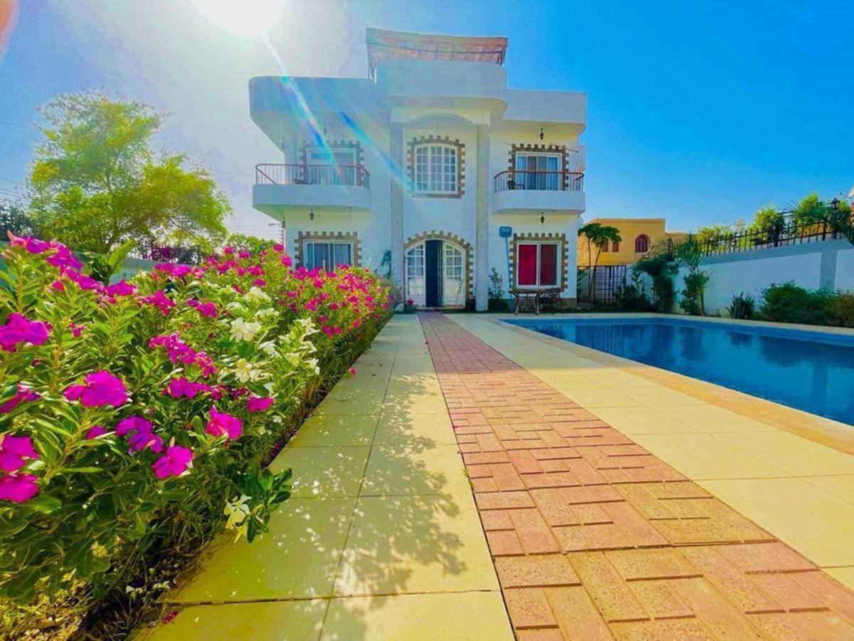 Ali Luxury Villa Luxor Ngoại thất bức ảnh
